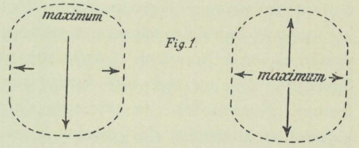 Dobrowolski (1903, fig. 01)