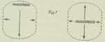 Dobrowolski, A. (1903). Météorologie: Observations des nuages. Résultats du Voyage du S.Y. Belgica en 1897-1898-1899 sous le commandement de A. de Gerlache de Gomery: Rapports Scientifiques (1901-1913). Buschmann: Anvers, Belgium. 158