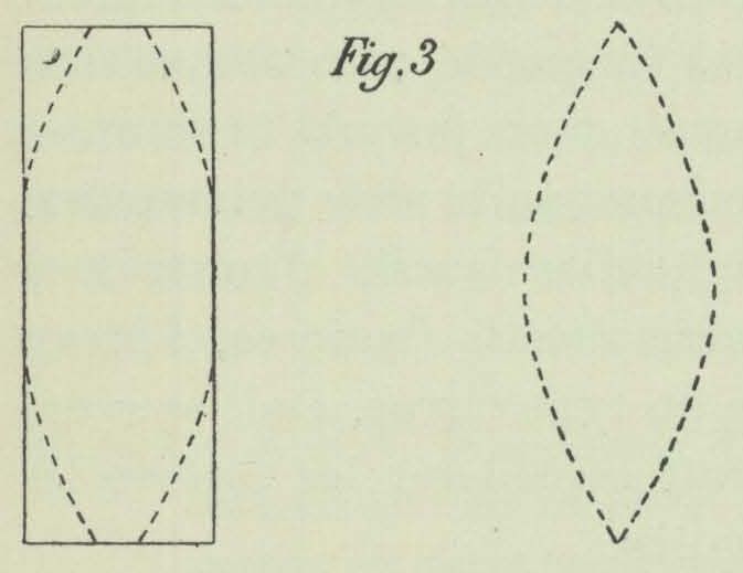 Dobrowolski (1903, fig. 03)