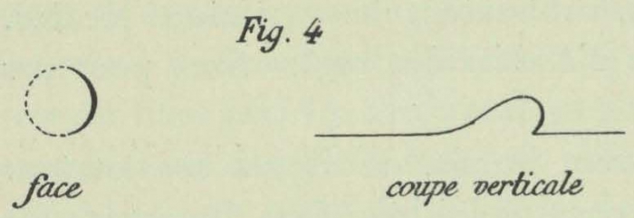 Dobrowolski (1903, fig. 04)