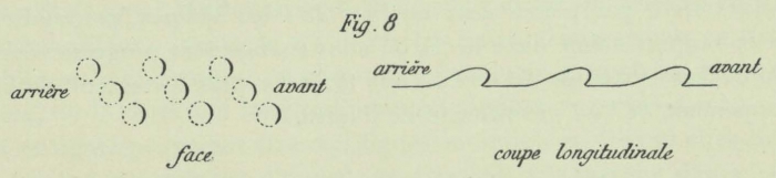 Dobrowolski (1903, fig. 08)