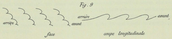 Dobrowolski (1903, fig. 09)