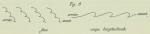 Dobrowolski, A. (1903). Météorologie: Observations des nuages. Résultats du Voyage du S.Y. Belgica en 1897-1898-1899 sous le commandement de A. de Gerlache de Gomery: Rapports Scientifiques (1901-1913). Buschmann: Anvers, Belgium. 158