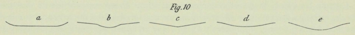 Dobrowolski (1903, fig. 10)