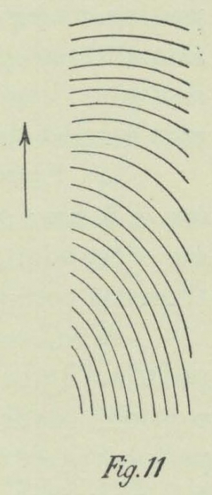 Dobrowolski (1903, fig. 11)