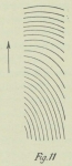 Groenland 1907
