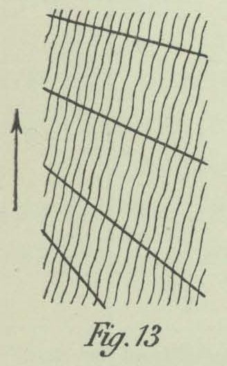 Dobrowolski (1903, fig. 13)