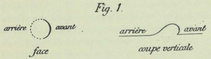 Dobrowolski (1903, appx. fig. 1)