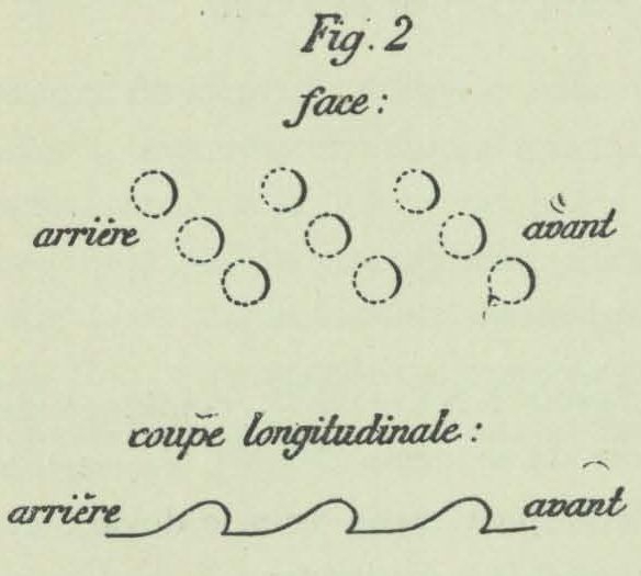 Dobrowolski (1903, appx. fig. 2)