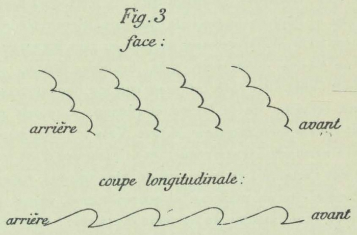 Dobrowolski (1903, appx. fig. 3)