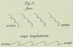 Dobrowolski, A. (1903). Météorologie: Observations des nuages. Résultats du Voyage du S.Y. Belgica en 1897-1898-1899 sous le commandement de A. de Gerlache de Gomery: Rapports Scientifiques (1901-1913). Buschmann: Anvers, Belgium. 158