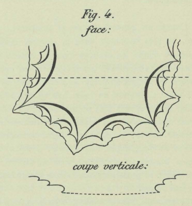 Dobrowolski (1903, appx. fig. 4)