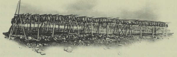 Duc d'Orléans (1909, fig. 012)