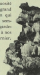 Duc d'Orléans (1909, fig. 022)