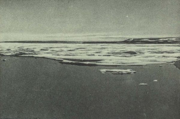 Duc d'Orléans (1909, fig. 059)