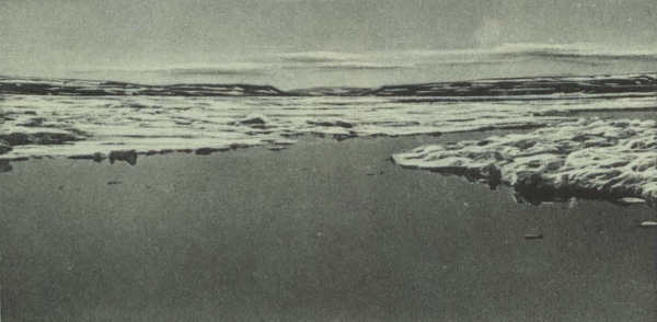 Duc d'Orléans (1909, fig. 060)