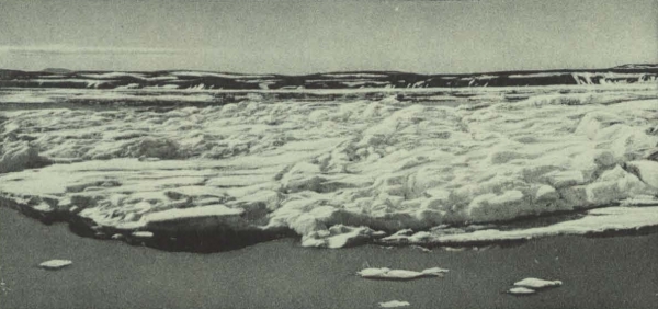 Duc d'Orléans (1909, fig. 061)