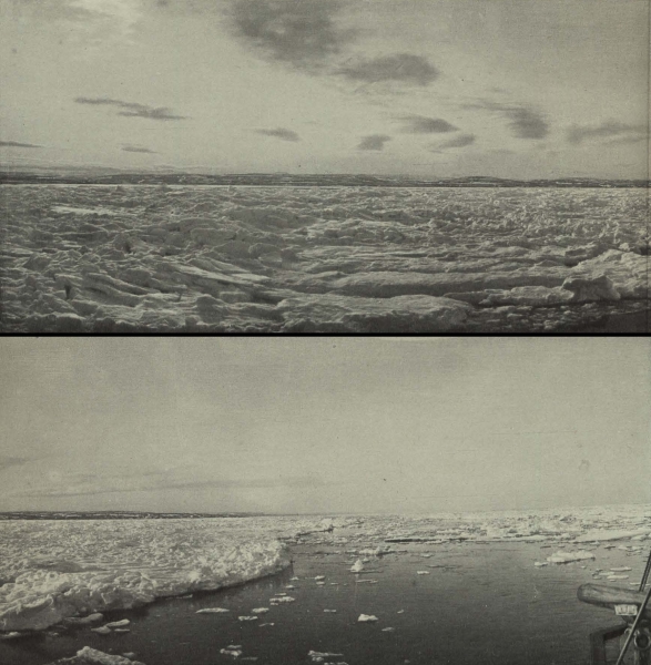 Duc d'Orléans (1909, fig. 062)