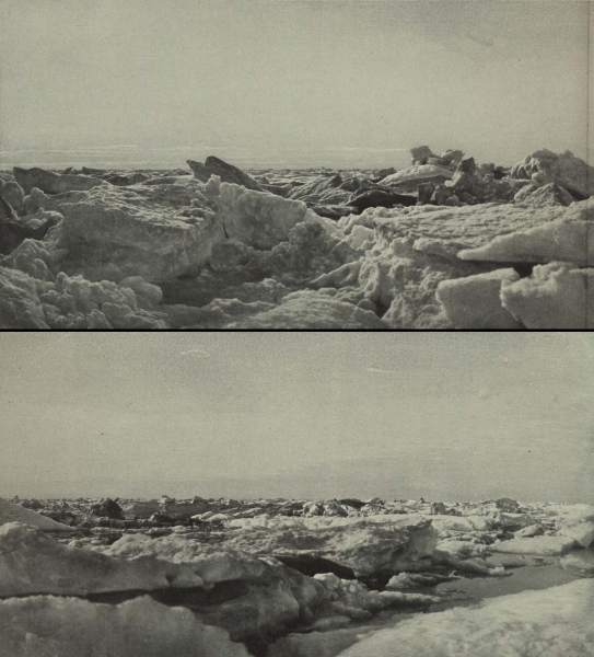 Duc d'Orléans (1909, fig. 063)