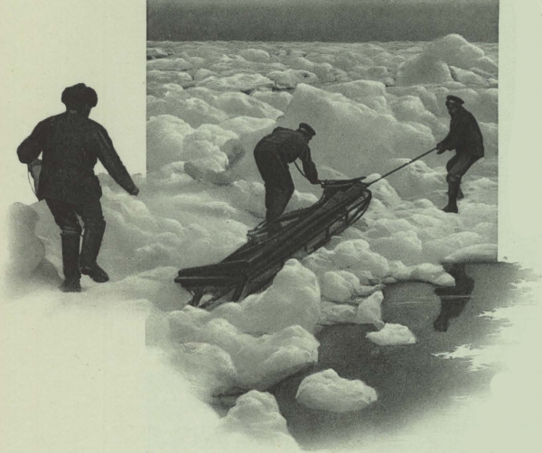 Duc d'Orléans (1909, fig. 081)