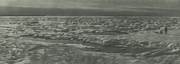 Duc d'Orléans (1909, fig. 082)