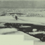 Duc d'Orléans (1909, fig. 095)