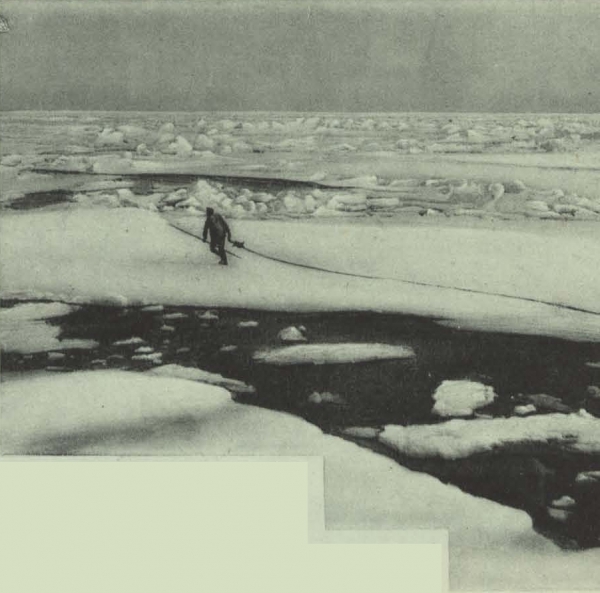 Duc d'Orléans (1909, fig. 095)