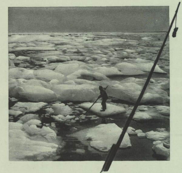 Duc d'Orléans (1909, fig. 097)