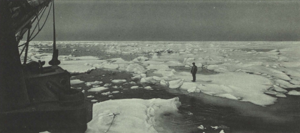 Duc d'Orléans (1909, fig. 098)