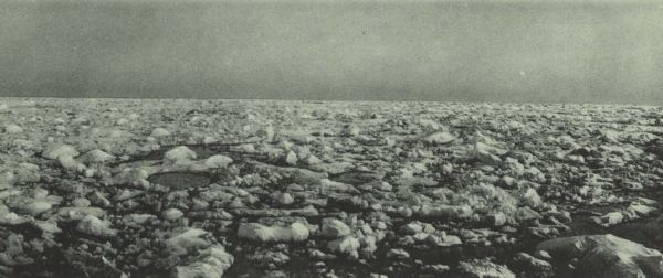 Duc d'Orléans (1909, fig. 100)