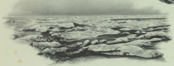 Duc d'Orléans (1909, fig. 102)