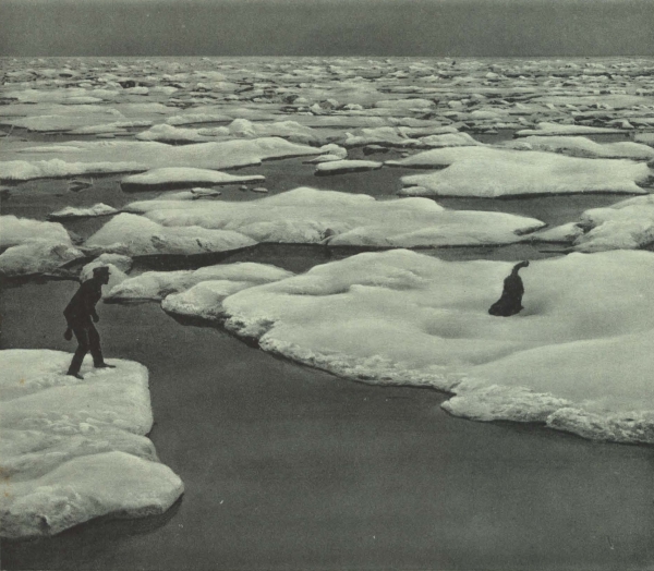 Duc d'Orléans (1909, fig. 106)