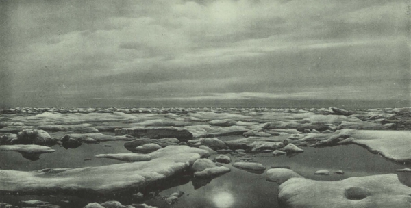 Duc d'Orléans (1909, fig. 111)