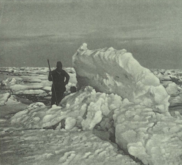 Duc d'Orléans (1909, fig. 114)