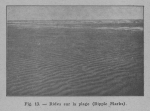 Rahir (1928, fig. 13)