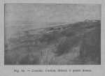 <B>Rahir, E.</B> (1928). Au pays des grandes dunes: La Panne, Coxyde, St.-Idesbald, Oostdunkerke, Nieuport-Bain. Devaivre: Bruxelles. 159, photos pp.