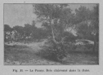<B>Rahir, E.</B> (1928). Au pays des grandes dunes: La Panne, Coxyde, St.-Idesbald, Oostdunkerke, Nieuport-Bain. Devaivre: Bruxelles. 159, photos pp.