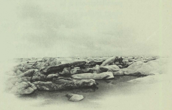 Duc d'Orléans (1909, fig. 117)