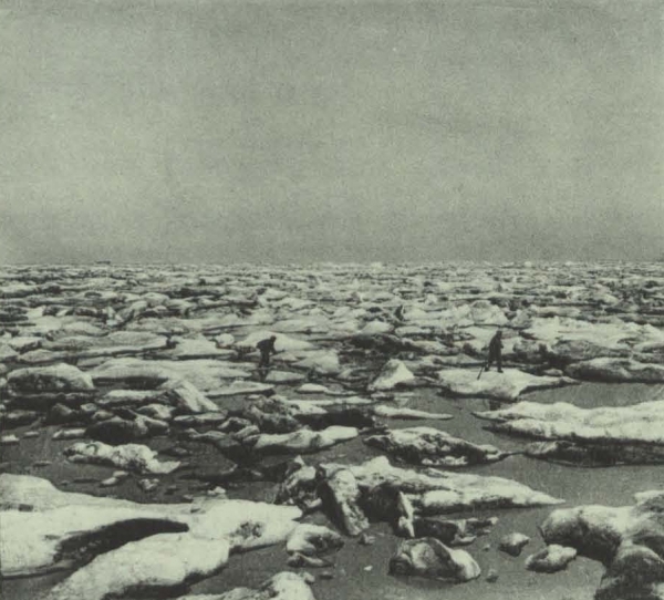 Duc d'Orléans (1909, fig. 121)