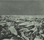 Duc d'Orléans (1909, fig. 124)