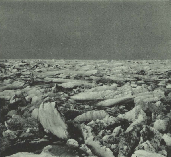 Duc d'Orléans (1909, fig. 124)