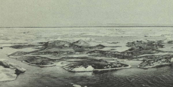 Duc d'Orléans (1909, fig. 127)