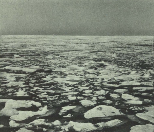 Duc d'Orléans (1909, fig. 131)