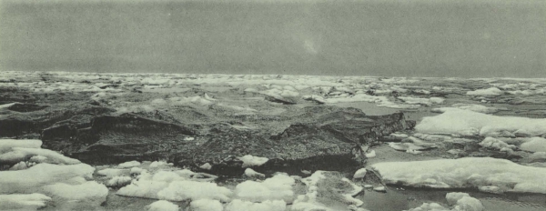 Duc d'Orléans (1909, fig. 132)