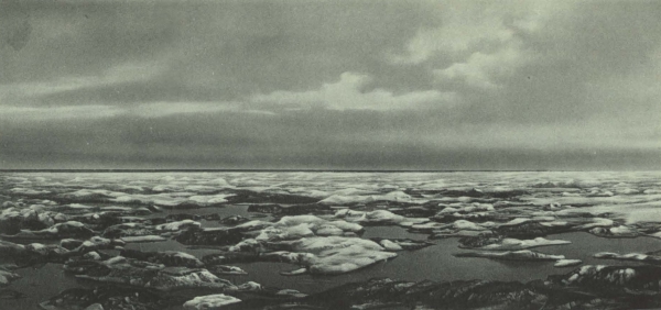 Duc d'Orléans (1909, fig. 133)