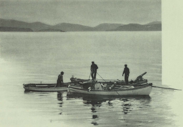 Duc d'Orléans (1909, fig. 141)