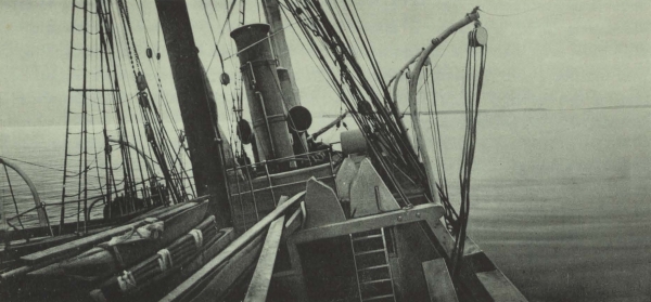 Duc d'Orléans (1909, fig. 143)