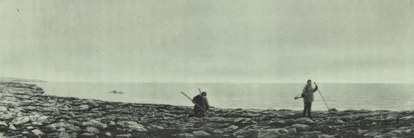 Duc d'Orléans (1909, fig. 147)