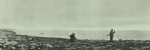 Duc d'Orléans (1909). La revanche de la banquise: un été de dérive dans la mer de Kara, juin-septembre 1907. Plon-Nourrit: Paris, France. 288, 39 tab. Ill., maps pp.