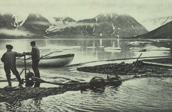 Duc d'Orléans (1909, fig. 155)